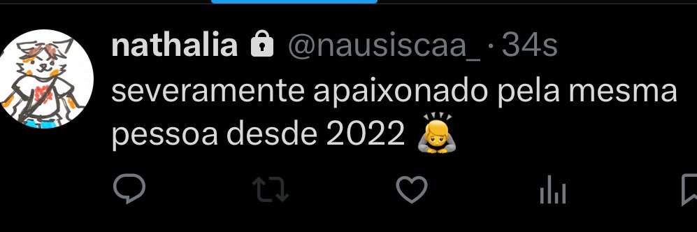 michelison da silva braga banner