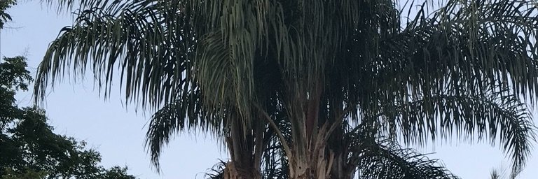 rwinfla's profile banner image
