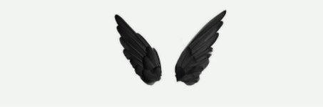 swgpie's profile banner image