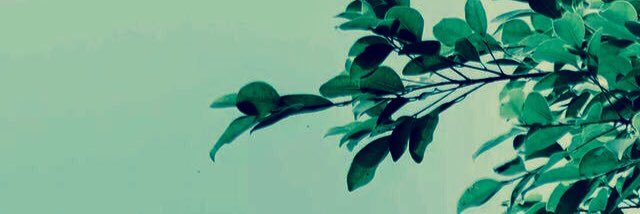 kychrista's profile banner image