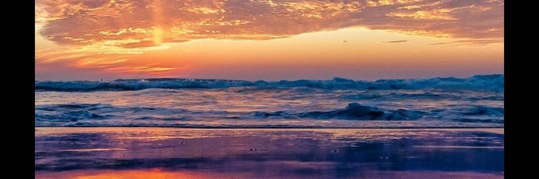NoeliiaFalcn's profile banner image