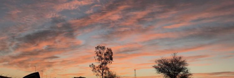 F. banner