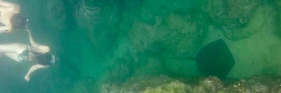 tomsiroberts's profile banner image