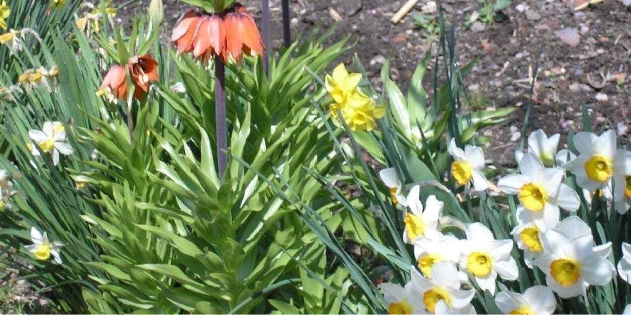 BogdaKukulska's profile banner image