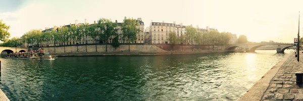 fitzroy Profile Banner