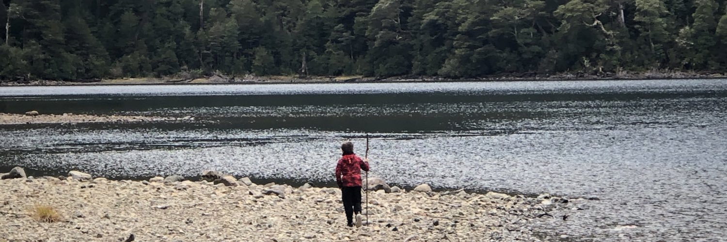 Mercedes Mahle 💚 🐶 banner