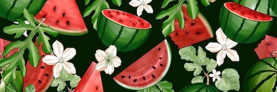 Dollemo || COMMS OPEN!🇵🇸 banner