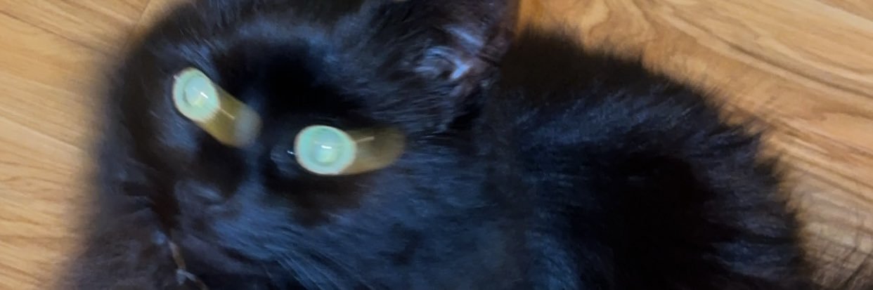 _coolbeansman_'s profile banner image