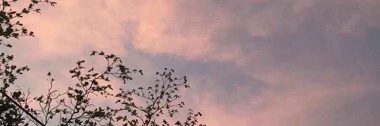 Marchxxt's profile banner image