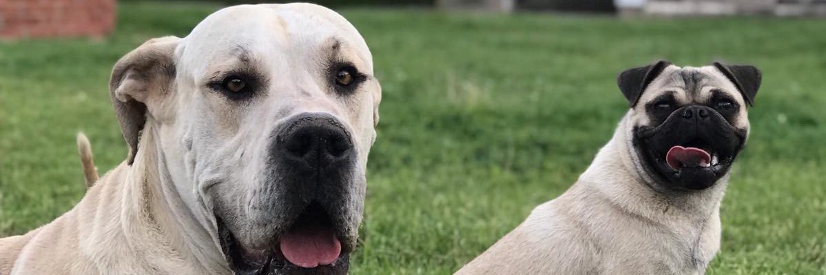 Paubm97's profile banner image