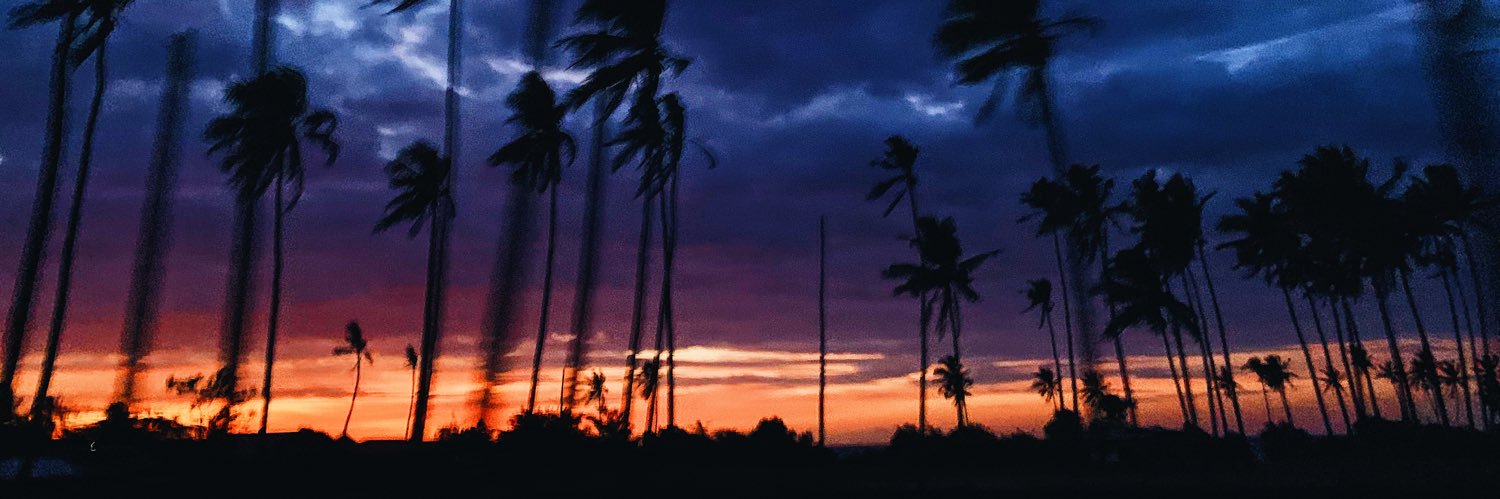 megin_ilse's profile banner image