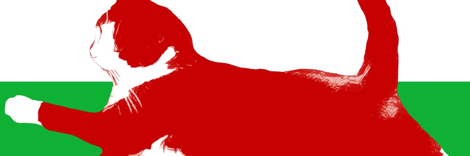 mk (he/him) 🏴‍☠️🏳️‍🌈 🖤🩶🤍💜 banner