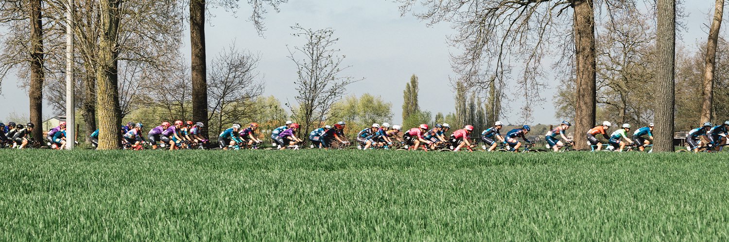 Scheldeprijs banner