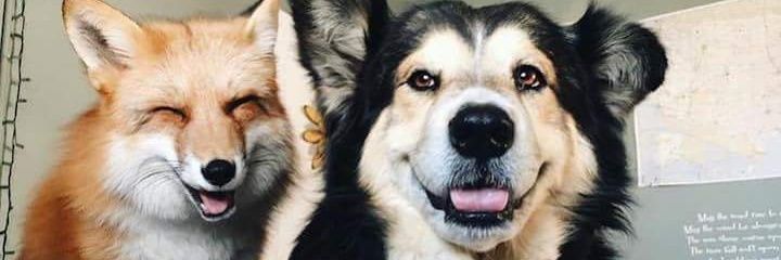 SebasGnzz's profile banner image