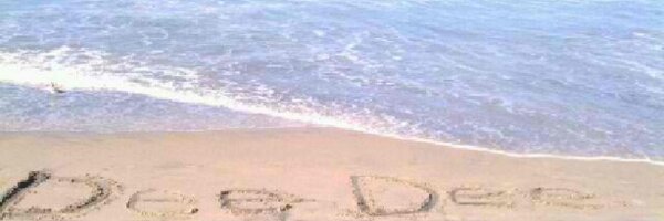 bradylinn Profile Banner