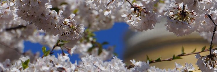 jurgfella's profile banner image