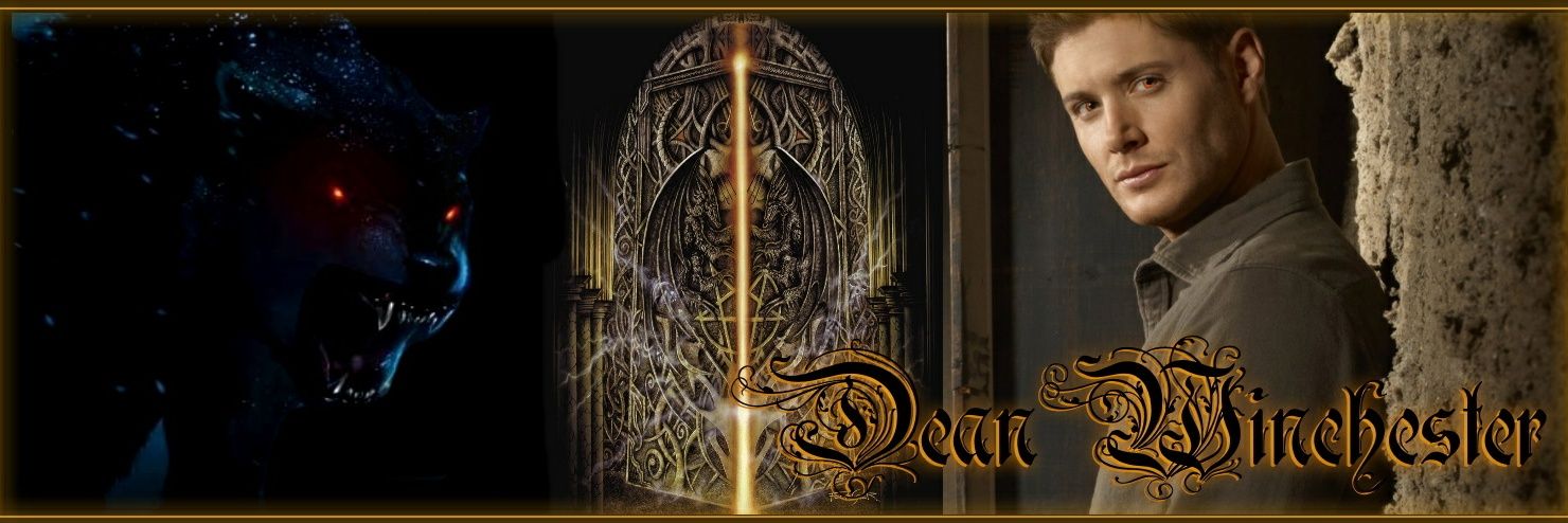 DarkHunter_DW's profile banner image