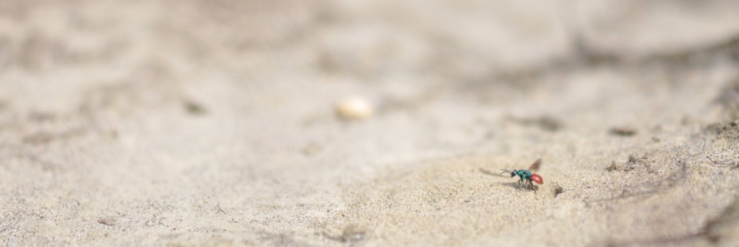 _Matt_Sharp's profile banner image