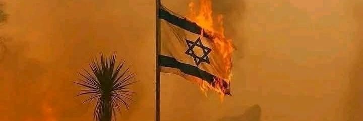 ◑JArmando◑ banner