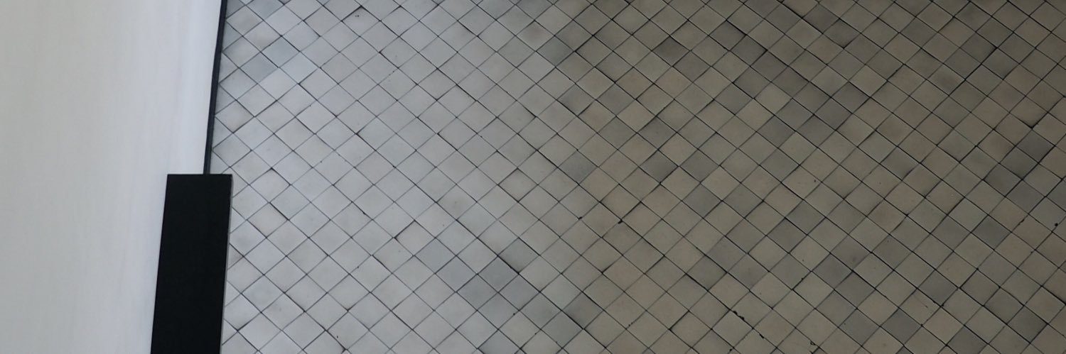 Verónica Bello banner