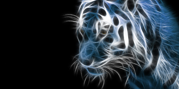 Nancy_Saeed12's profile banner image