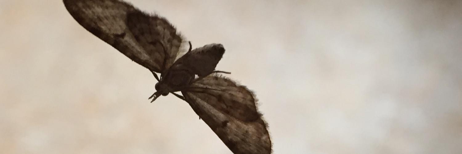 agknowitall's profile banner image
