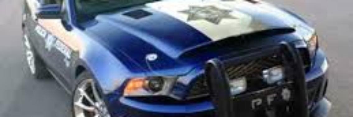 luisbonavid's profile banner image
