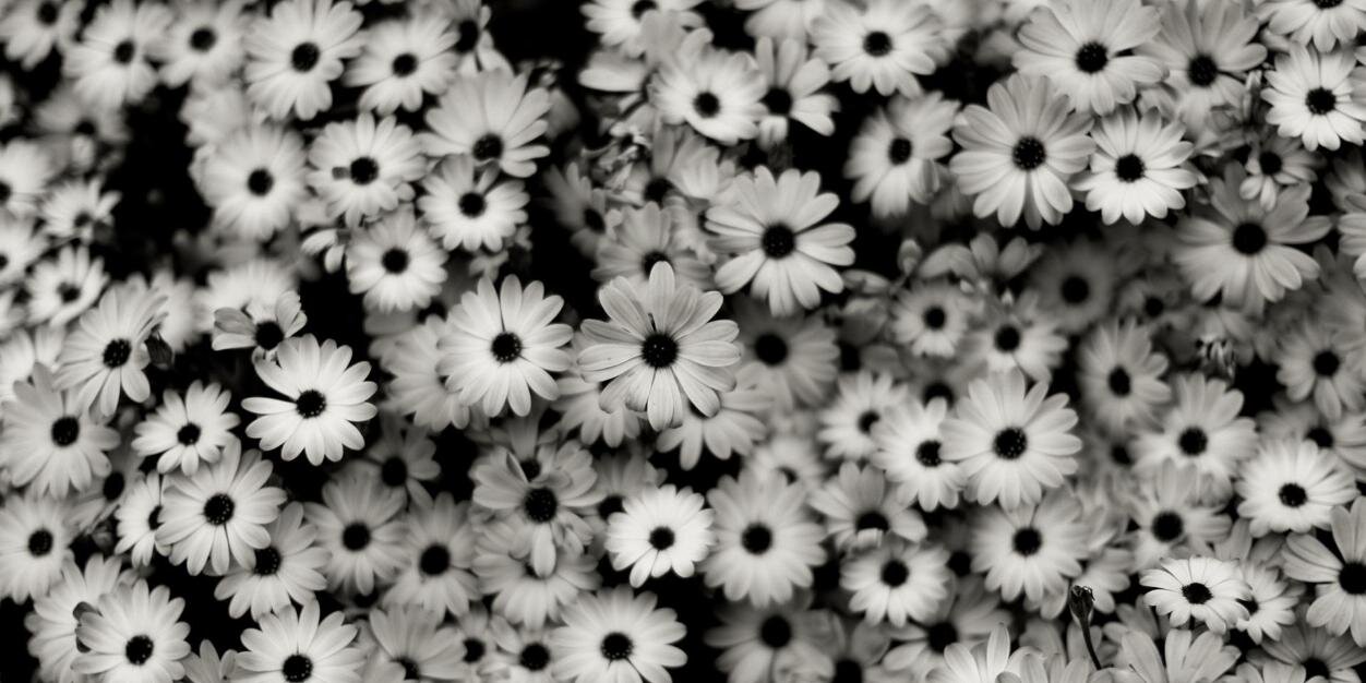 ManonBohle's profile banner image