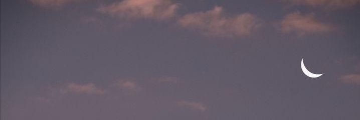 LiaryOll_ii's profile banner image