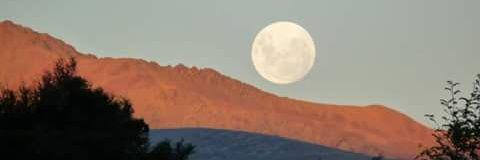 mariola3678's profile banner image