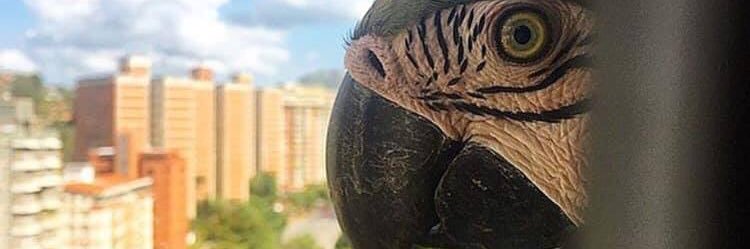ramongiron's profile banner image