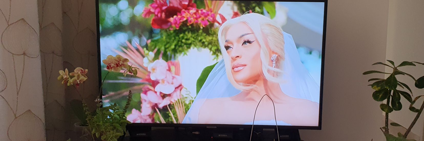 Vinny Guimarães🏳️‍🌈🇧🇷 banner