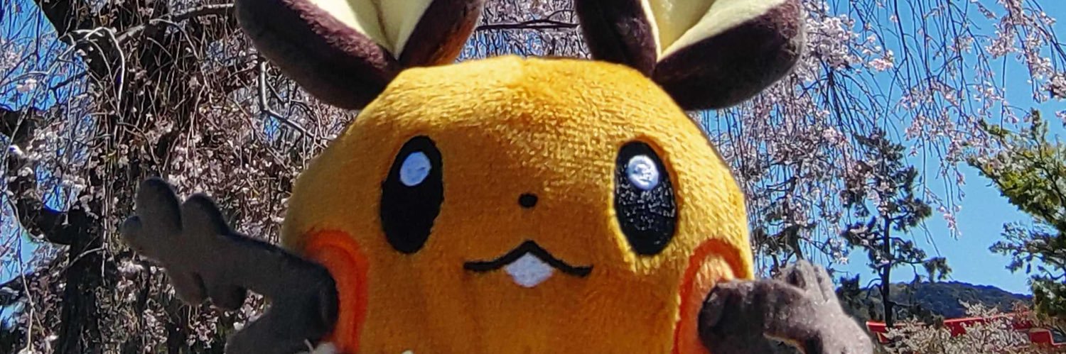 ricecake_tree's profile banner image