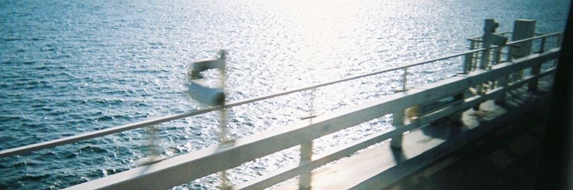 ⋆━━━━ VIERA. banner