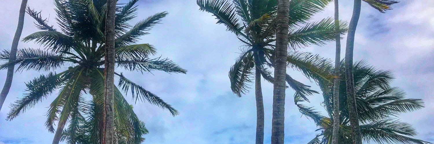 CarolinaSandoS's profile banner image