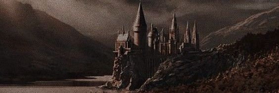 Alz banner