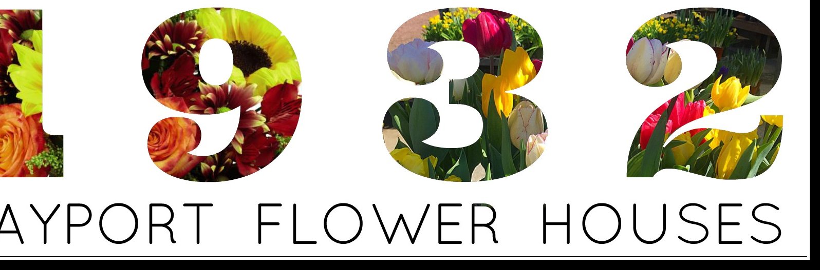 BayportFlower's profile banner image