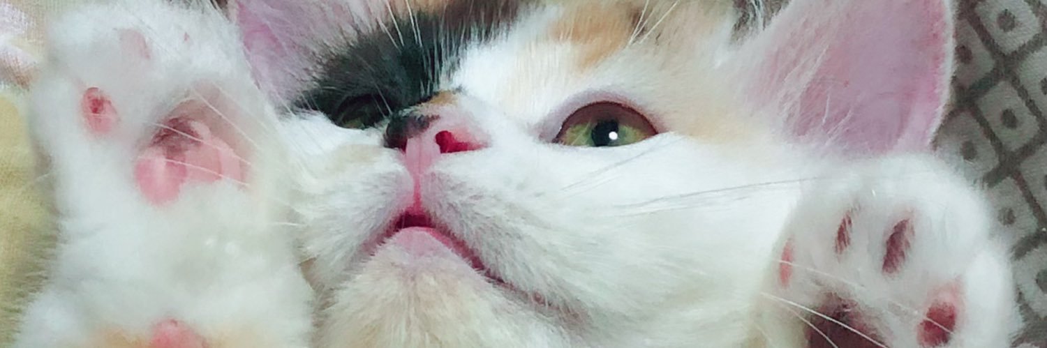 himechan_munch's profile banner image