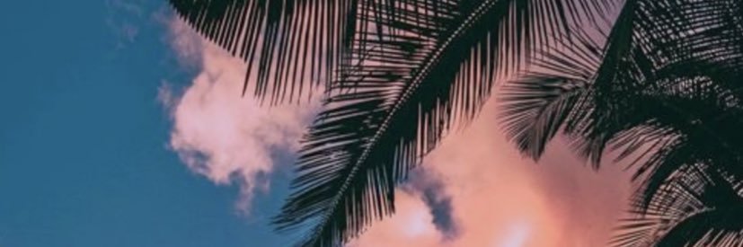 rnvg_ave's profile banner image