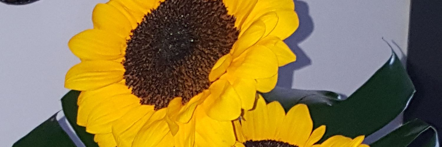 natmarlui's profile banner image