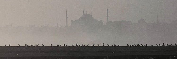 kvsrmemis's profile banner image