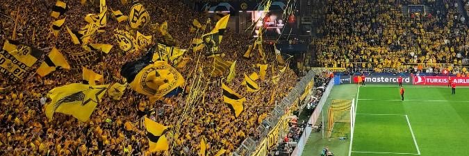 maagmabvb banner