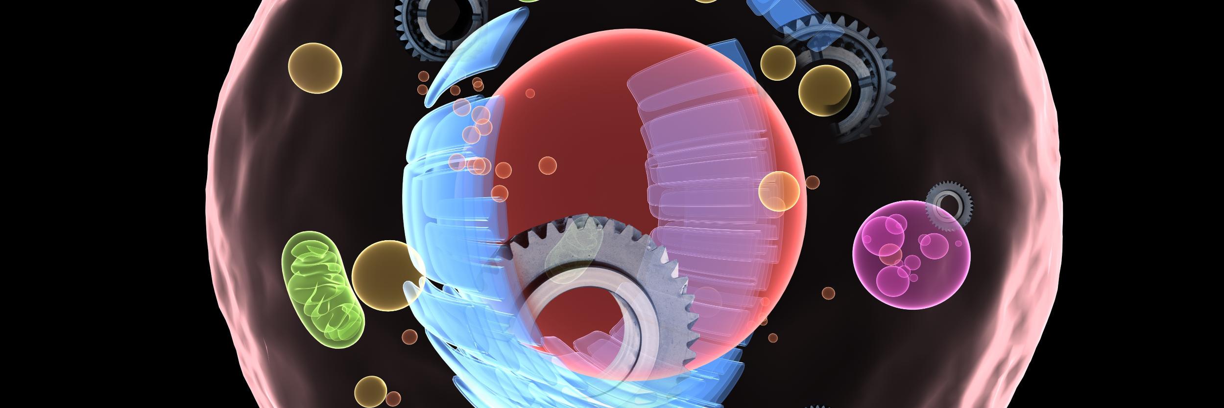 USUBioEngr's profile banner image