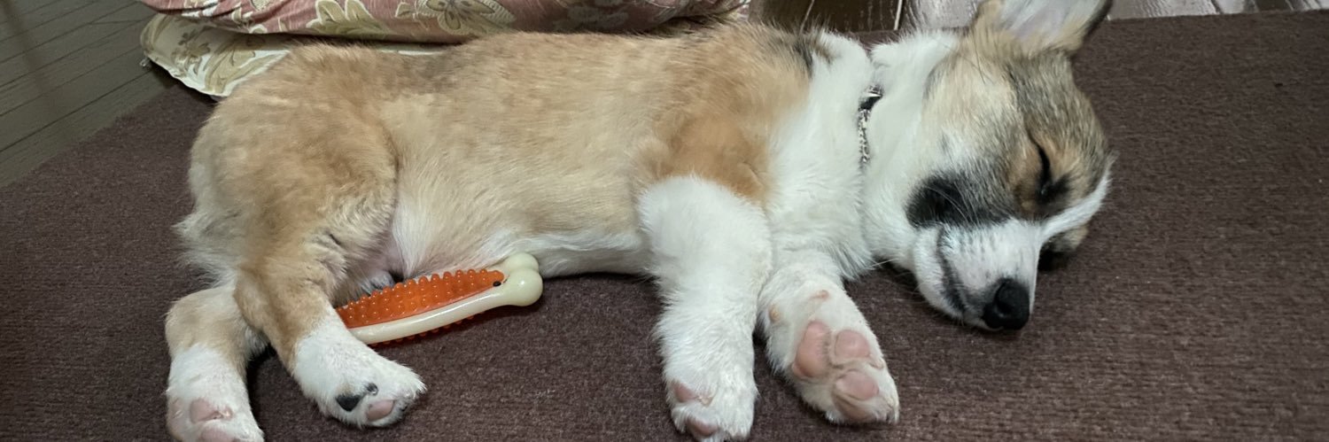 ketsuana893's profile banner image