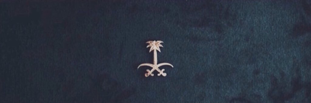 _alanzi2's profile banner image