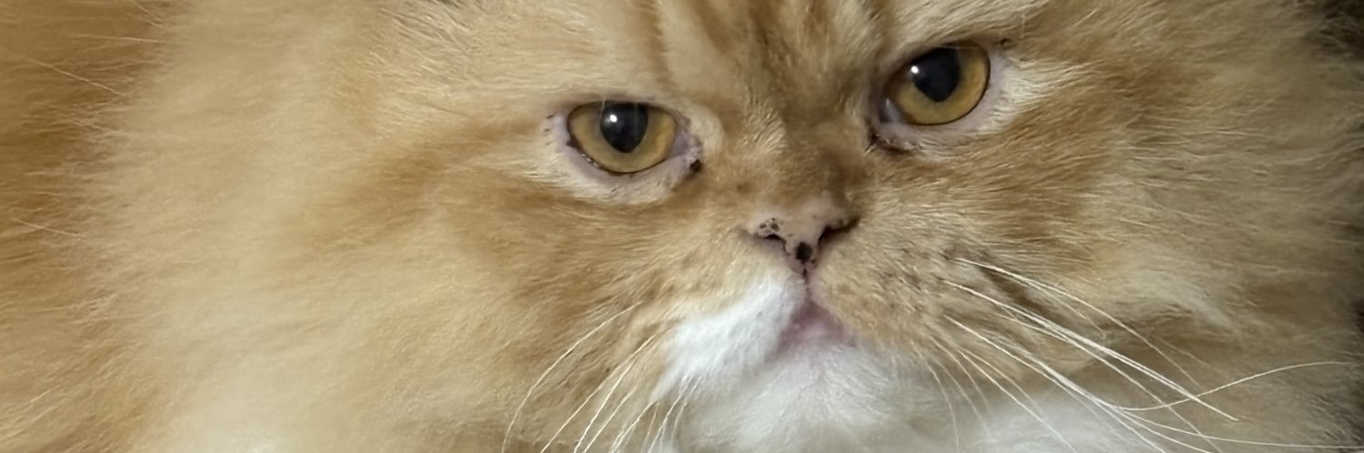 tas125_'s profile banner image