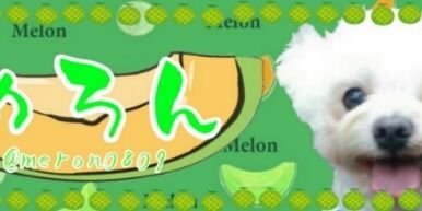 めろん banner