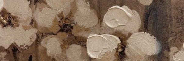 bearynemi's profile banner image