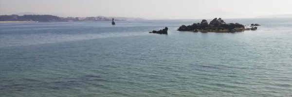lausotodosos Profile Banner