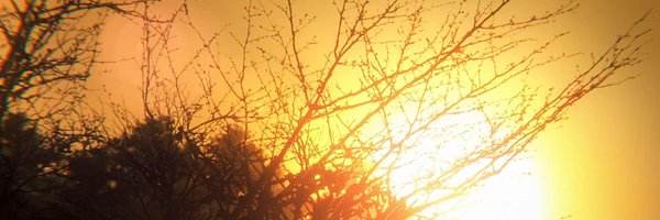 hetgem Profile Banner